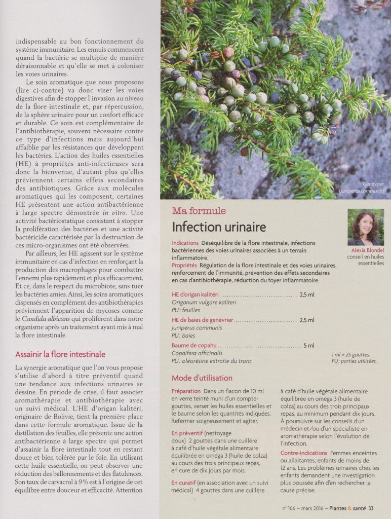 article cystite 2