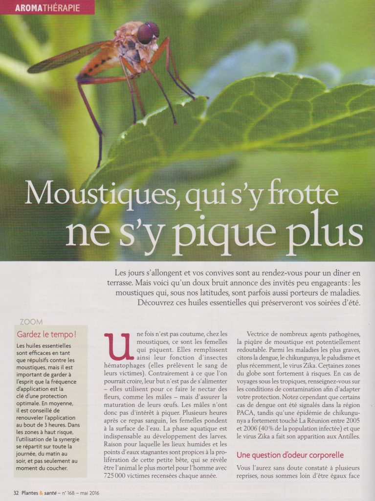 article moustique 1
