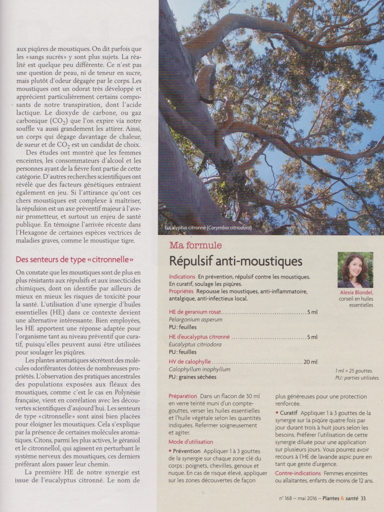 article moustique 2