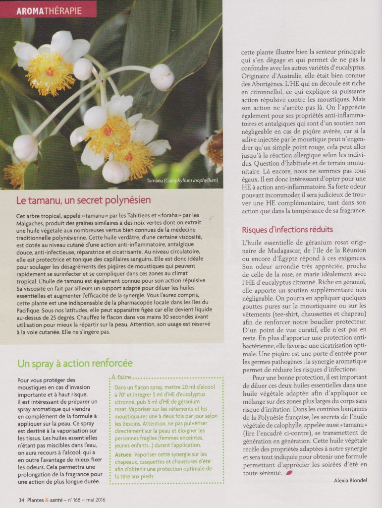 article moustique 3