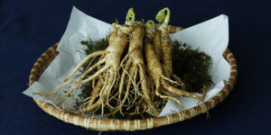 - Ginseng - ginseng